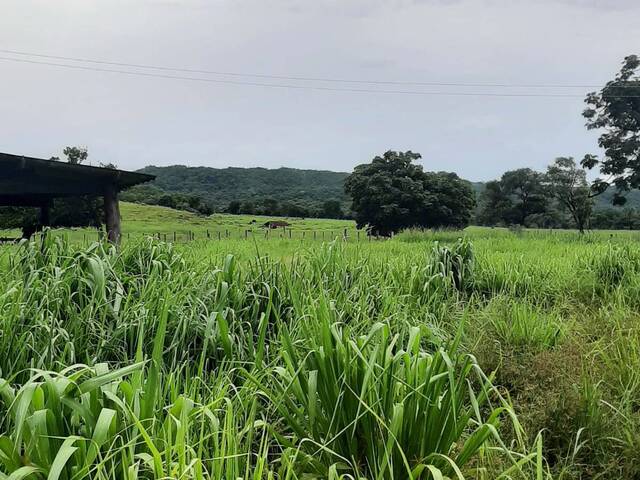 #2682 - Fazenda para Venda em Montes Claros de Goiás - GO