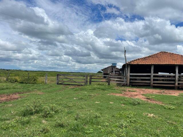 #2803 - Fazenda para Venda em São Miguel do Araguaia - GO
